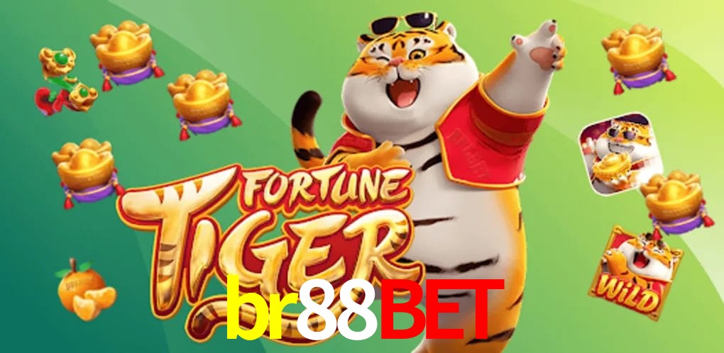 Experiência VIP br88bet